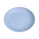 4 Colour Dinner Plates
