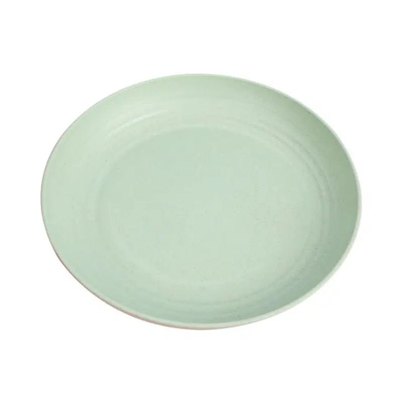 4 Plastic Dinner Plates