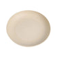 4 Plastic Dinner Plate