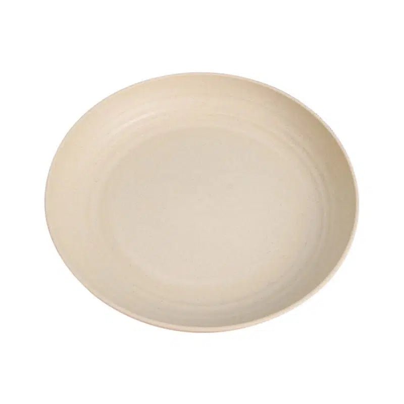 4 Plastic Dinner Plate